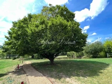 45-room property for sale near Tours (37)