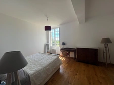 Propriete à vendre 17 pièces SAINT OUEN LES VIGNES (37)