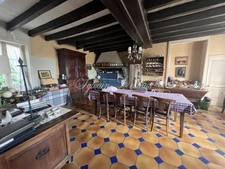 Property for sale 15 rooms near CHATILLON SUR INDREDRE (36)
