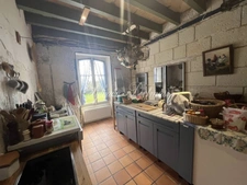 Property for sale 15 rooms near CHATILLON SUR INDREDRE (36)