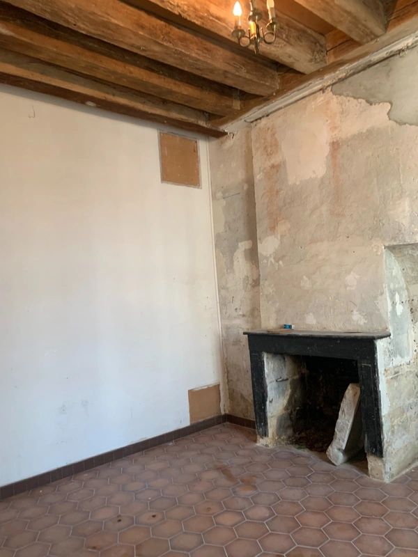 Maison à vendre 20 pièces AMBOISE (37)
