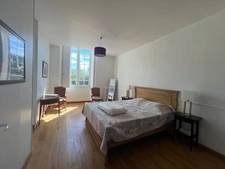 Propriete à vendre 17 pièces SAINT OUEN LES VIGNES (37)