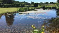 Property for sale, 11 rooms, LANGEAIS (37)