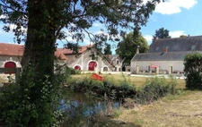 Property for sale, 11 rooms, LANGEAIS (37)