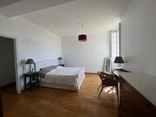 Propriété à vendre 17 pièces SAINT OUEN LES VIGNES (37)