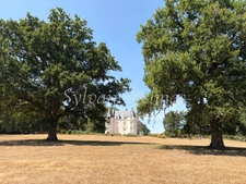 8-room property for sale near Loches (37)