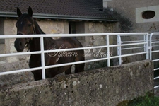 Property for sale, 11 rooms, LANGEAIS (37)
