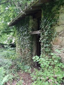 Terrain à vendre de 12 000,00 m² LES SALLES (42)