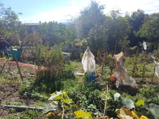 Terrain à vendre de 8 758,00 m² THIERS (63)