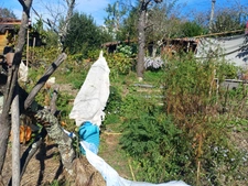 Terrain à vendre de 8 758,00 m² THIERS (63)