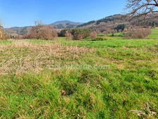 Terrain à vendre de 2 975,00 m² AUGEROLLES (63)