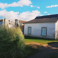 À VENDRE – DOMAINE IDÉAL ACTIVITÉ ÉQUESTRE OU AGRICOLE – À PROXIMITÉ DE VICHY