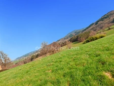 Terrain à vendre de 2 975,00 m² AUGEROLLES (63)