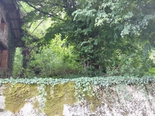 Terrain à vendre de 12 000,00 m² LES SALLES (42)