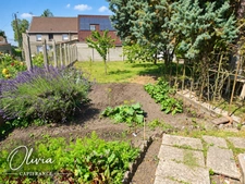 Maison individuelle Semi Plain pied à Vendre