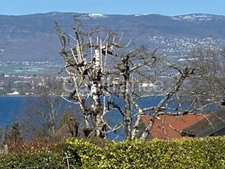 Building plot of 1650m² located at the foot of Lake Geneva (74)