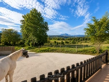 PROPRIÉTÉ D’EXCEPTION – PRÈS DE 300 m² – 2,7 HECTARES – INSTALLATIONS EQUESTRES - LOGEMENTS INDEPENDANTS