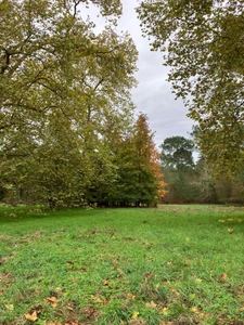Un domaine de pierre de 160 m² env. à rénover sur 15950 m² de forets préservées, Un havre rare entre ciel et pins !