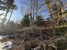 House for sale, 4 rooms, GEX (01)