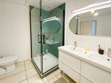 Maison à vendre 7 pièces GRILLY (01)