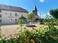 House for sale, 10 rooms, PREVESSIN MOENS (01)