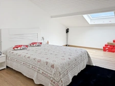 Maison à vendre 8 pièces PREVESSIN MOENS (01)
