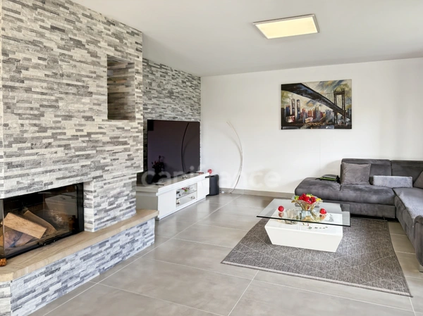 Maison à vendre 8 pièces PREVESSIN MOENS (01)