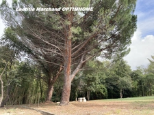Maison 5 pièces avec terrain 12000m² à PRADES (66)