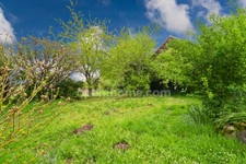 Maison de Charme - 166 m² - 5 pièces  - 3 Chambres - 2 Granges - terrain 4300 m² environ -  SAINT HILAIRE LA TREILLE (87160)