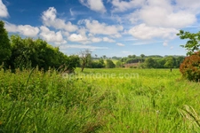 GRANGE en PIERRE de 170 M² sur terrain 3075 m² -  SAINT HILAIRE LA TREILLE (87)