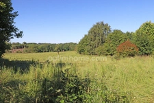 GRANGE en PIERRE de 170 M² sur terrain 3075 m² -  SAINT HILAIRE LA TREILLE (87)