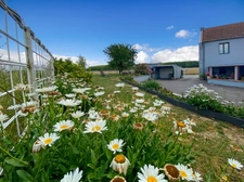 Maison à vendre 5 pièces Proche de CRECY SUR SERRE (02)