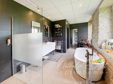 Maison à vendre 12 pièces  (02)