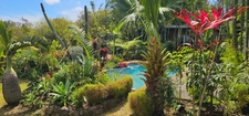 Deux maisons, deux piscines et un studio indépendant avec vue océan