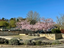 Maison à vendre 7 pièces LE MESNIL LE ROI (78)