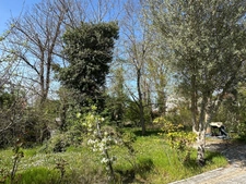 Landscaped land for sale in Sartrouville 