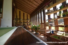 Maison d'architecte 15 pièces SALINS LES THERMES (73)