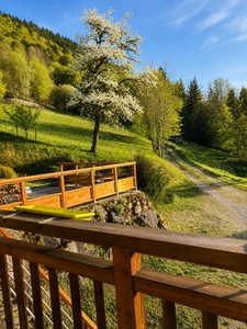 A vendre sur 2,4 ha en pleine nature 1 Chalet Rénové + 1 ancien chalet à réhabiliter