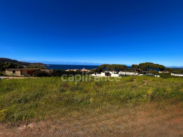 À vendre : Terrain avec vue mer exceptionnelle à Calvi, Haute-Corse