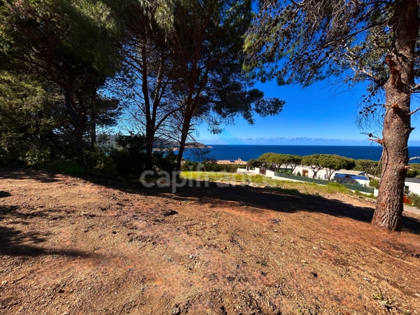 À vendre : Terrain avec vue mer exceptionnelle à Calvi, Haute-Corse