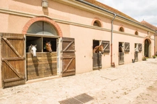 Château, installation équestre (haras) à vendre au coeur du bocage bourbonnais - Maison de gardien, club house, maison des cavaliers, boxes, écuries - Terrain de 40 hectares