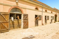 Château and equestrian facilities (stud farm) for sale in the heart of the Bourbonnais countryside - Caretaker's house, clubhouse, riders' house, stalls, stables - 40 hectares of land