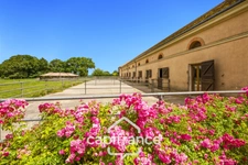 Château and equestrian facilities (stud farm) for sale in the heart of the Bourbonnais countryside - Caretaker's house, clubhouse, riders' house, stalls, stables - 40 hectares of land