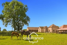 Château and equestrian facilities (stud farm) for sale in the heart of the Bourbonnais countryside - Caretaker's house, clubhouse, riders' house, stalls, stables - 40 hectares of land