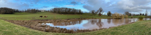 Château, installation équestre (haras) à vendre au coeur du bocage bourbonnais - Maison de gardien, club house, maison des cavaliers, boxes, écuries - Terrain de 40 hectares