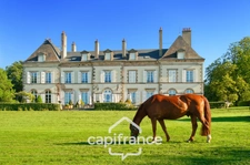 Château and equestrian facilities (stud farm) for sale in the heart of the Bourbonnais countryside - Caretaker's house, clubhouse, riders' house, stalls, stables - 40 hectares of land
