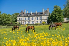 Château, installation équestre (haras) à vendre au coeur du bocage bourbonnais - Maison de gardien, club house, maison des cavaliers, boxes, écuries - Terrain de 40 hectares