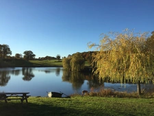 Château and equestrian facilities (stud farm) for sale in the heart of the Bourbonnais countryside - Caretaker's house, clubhouse, riders' house, stalls, stables - 40 hectares of land