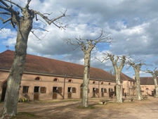 Château, installation équestre (haras) à vendre au coeur du bocage bourbonnais - Maison de gardien, club house, maison des cavaliers, boxes, écuries - Terrain de 40 hectares