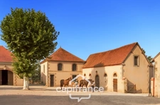 Château and equestrian facilities (stud farm) for sale in the heart of the Bourbonnais countryside - Caretaker's house, clubhouse, riders' house, stalls, stables - 40 hectares of land